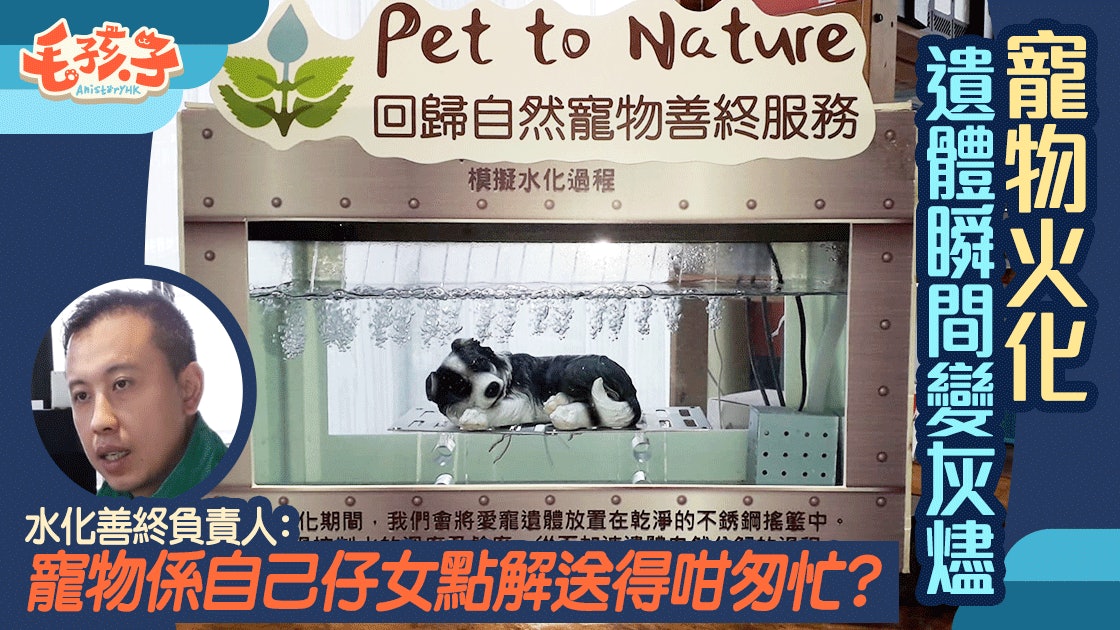 Hong Kong 01 (2018-10-17) — New Aquamation Service Helps Owners Accept Pet Loss More Peacefully — 1