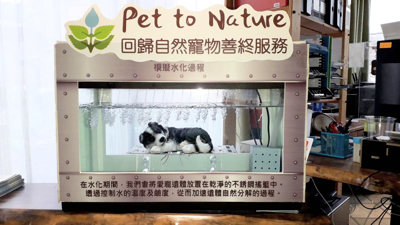 Mathew表示外國早於2005年已有水化善終的做法,而水化的速度比土葬分解速度更快及環保。(Pet To Nature)