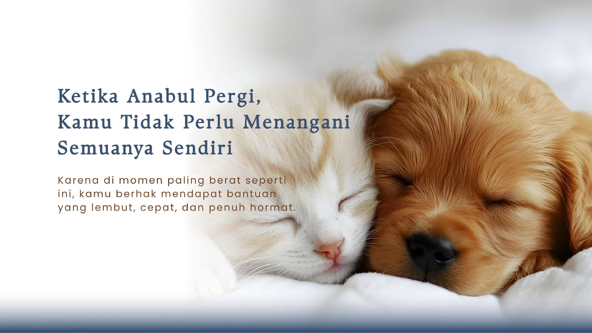 Pet To Nature Indonesia visual story 1
