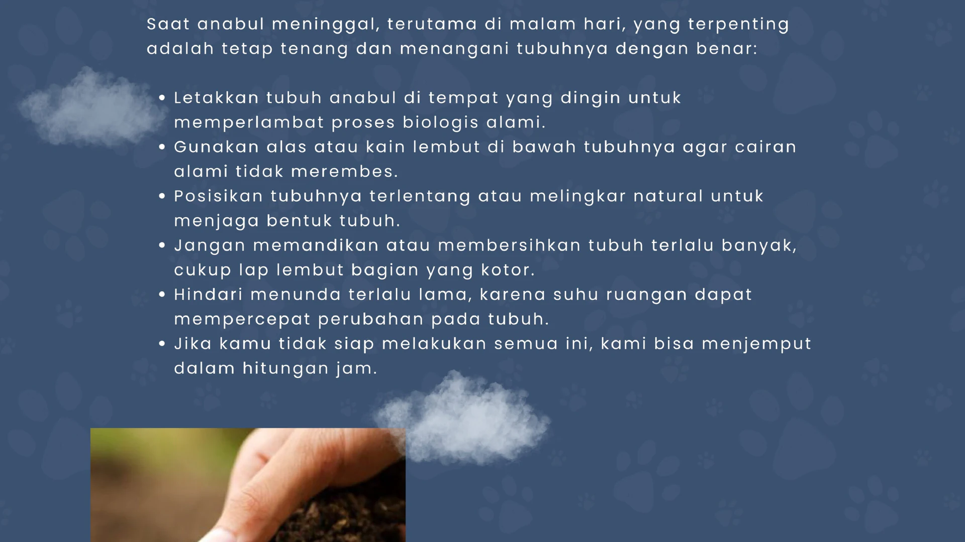 Pet To Nature Indonesia visual story 3