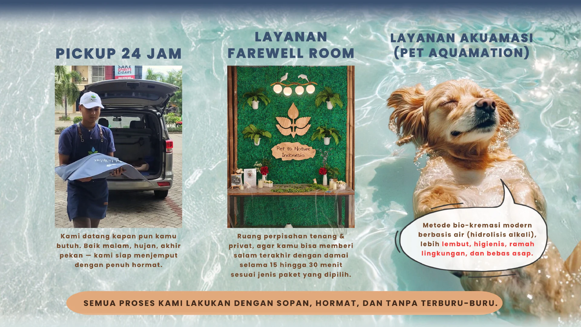 Pet To Nature Indonesia visual story 6