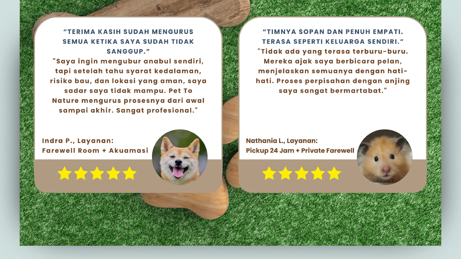 Pet To Nature Indonesia visual story 8