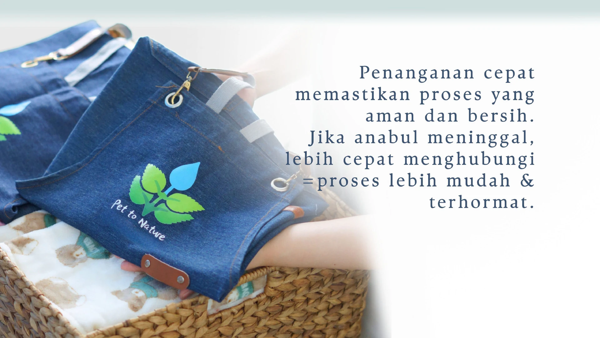Pet To Nature Indonesia visual story 9